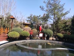 -东方华地城湿地温泉度假区
