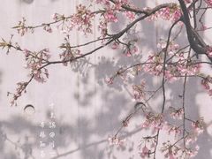 -静安雕塑公园