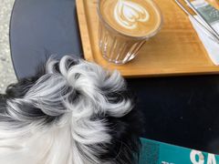 -sugarman espresso素饮糖人高新咖啡工厂