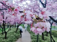 -静安雕塑公园
