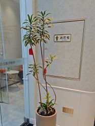 -YESIDO椰岛美容