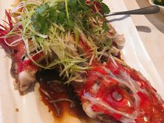 清蒸斑鱼-新港海鮮