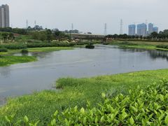 -那考河湿地公园