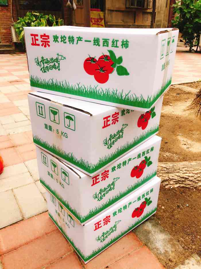 欢坨一线西红柿-"小时候的味道,小时候跟小伙伴在菜地里玩耍.