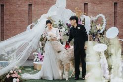 -Sunny喜铺婚礼定制·求婚策划