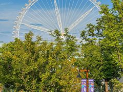 -祥源·阜阳生态乐园