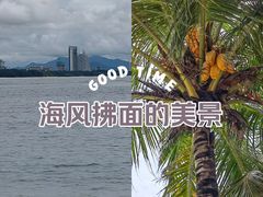 -后海村