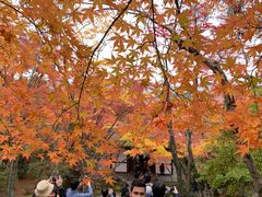 -常寂光寺