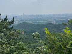 -灵岩山风景区