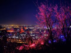 -红光山