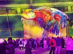 -沈阳奥体冰雪嘉年华