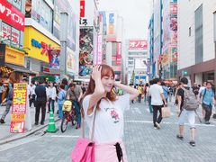 -秋叶原电器街