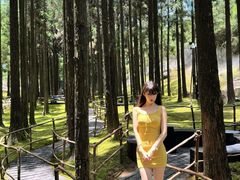 -玉苍山国家森林公园