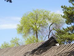 -承德避暑山庄景区