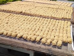 -西关竹园(荔枝湾店)