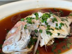 -华盛丰温州大排档(东三环南路店)