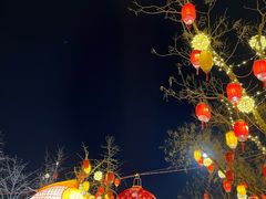 -龙湖星悦荟(颐和店)