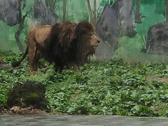 -黔灵山公园