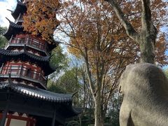 -上海佘山国家森林公园西佘山园