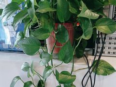 -咖啡人·融合餐厅(万达环宇店)