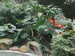 -融汇温泉