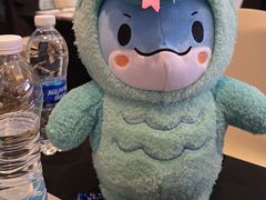 -北京朝阳悠唐皇冠假日酒店