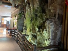 -御池园(顾村公园店)