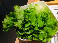 -新石器烤肉(南站店)