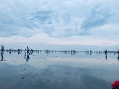-奉贤海滩