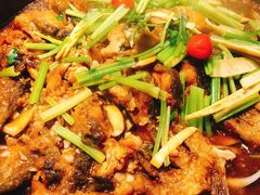 -老板恋上鱼(恒隆广场店)