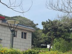 -燕塞湖鸟语林景区