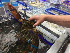 -盒马鲜生(大成店)