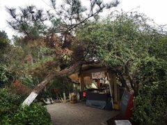 -戏马台景区