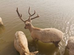 -宁波杭州湾国家湿地公园