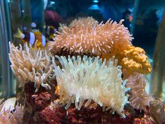 -太平洋海底世界