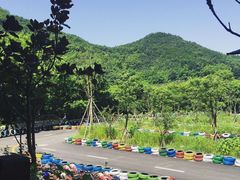 -东海大峡谷