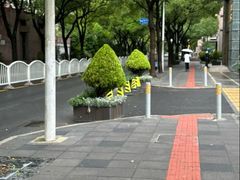 -维乐口腔(格林门诊长宁店)