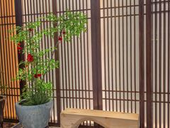 -康逸居·始于2002(海安店)