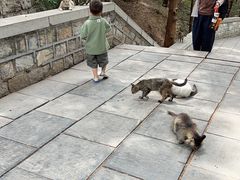 -四门塔风景区