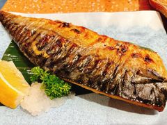 -元气寿司(东方宝泰店)