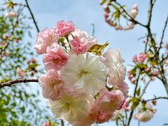 -玄武湖景区-情侣园游乐场