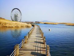 -苏州太湖湖滨国家湿地公园