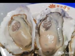 -皇家5号海鲜烤肉火锅自助餐(聊城总店)
