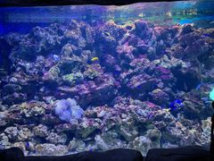 -大连老虎滩海洋公园