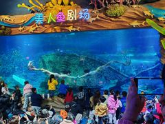 -太奥幻太奇海洋馆