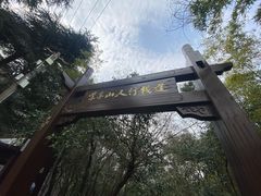 -紫金山山顶公园