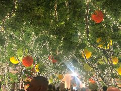 -拉斯维加斯永利酒店