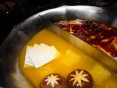 红颜花胶鸡锅-湊湊火锅·茶憩(打浦桥日月光店)