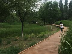 -东郊湿地公园
