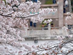 -苏州上方山国家森林公园